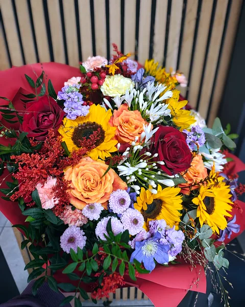 Duży bukiet okolicznościowy ze słonecznikami: Duży, kolorowy bukiet ze słonecznikami, bordowymi i pomarańczowymi różami, białą agapanthą, liliowymi maciejkami i chryzantemami, uzupełniony czerwoną astilbe i eukaliptusem, zapakowany w czerwony papier. Kwiaciarnia Bukieteria Gorzów Wielkopolski