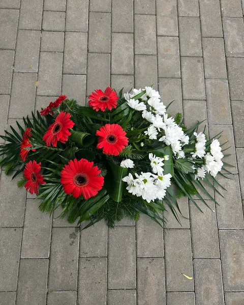 Wiązanka biało-czerwona pod pomnik: Biało-czerwona wiązanka z czerwonymi gerberami i białymi chryzantemami ułożona na świerku, liściach palmy i aspidistry, przeznaczona do złożenia pod pomnikiem. Kwiaciarnia Bukieteria Gorzów Wielkopolski