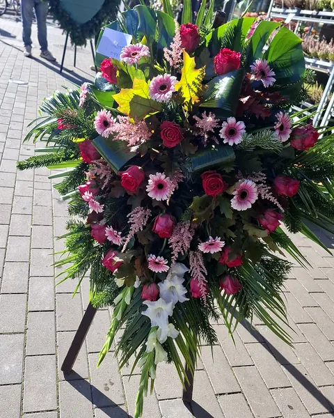 Wiązanka pogrzebowa na świerku: Wiązanka pogrzebowa z różami, gerberami i astilbą w tonacji bordo i różu, uzupełniona zielenią iglastą i dekoracyjnym liściem. Kwiaciarnia Bukieteria Gorzów Wielkopolski